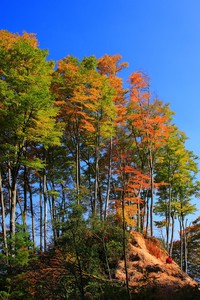 猛龙双核联手，球队士气高涨