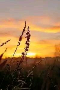 西汉姆大胜切尔西，英超劲旅再次受挫