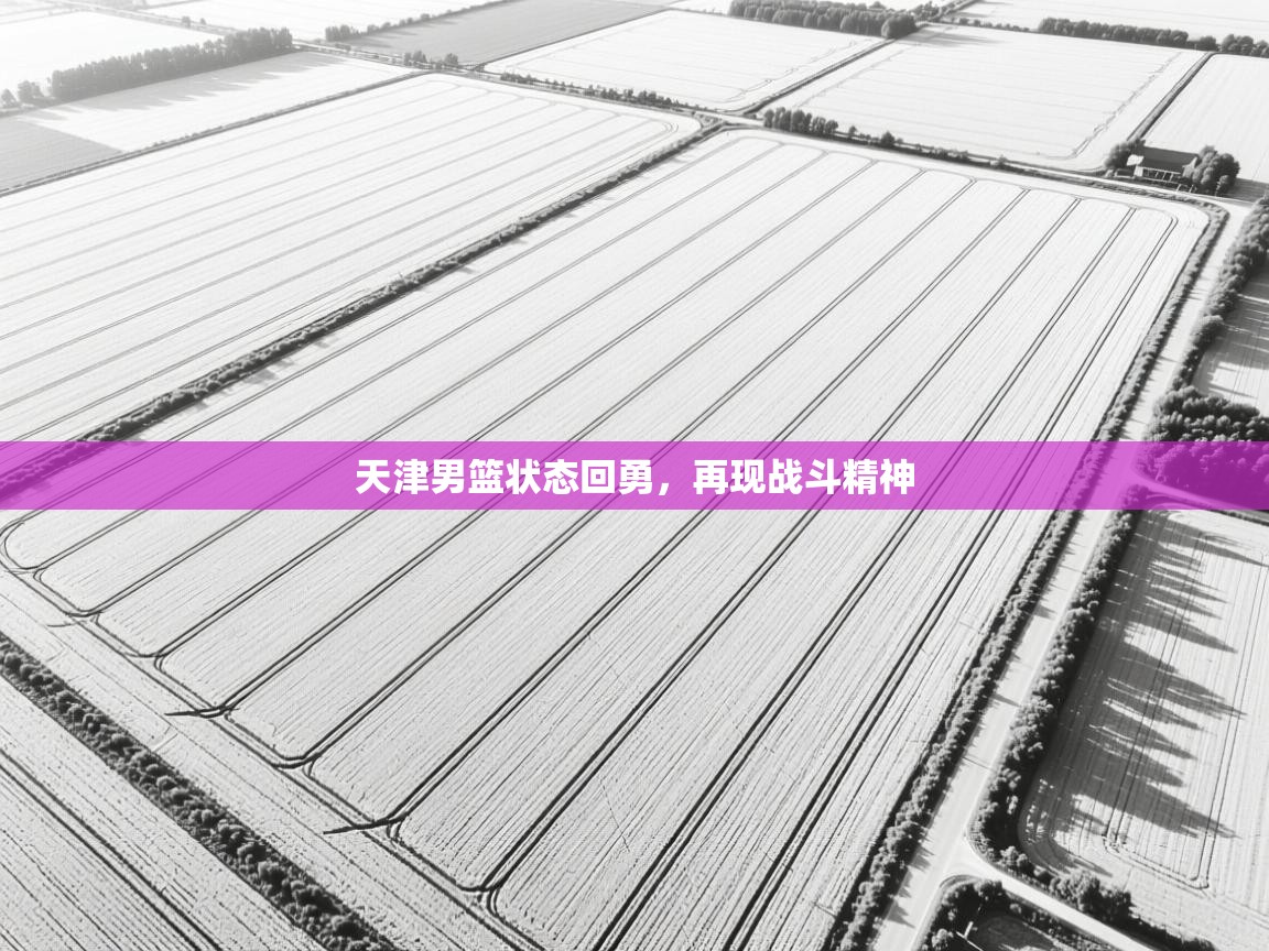 天津男篮状态回勇，再现战斗精神