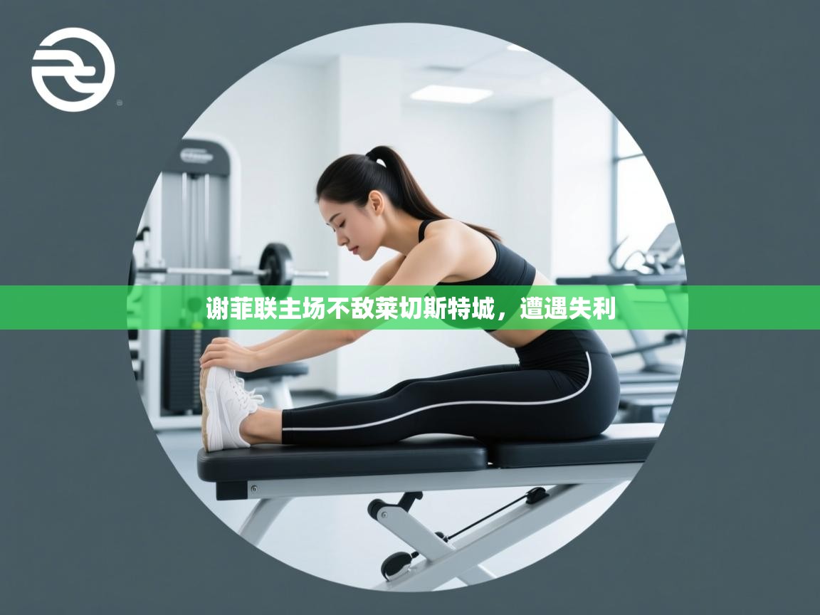 谢菲联主场不敌莱切斯特城，遭遇失利