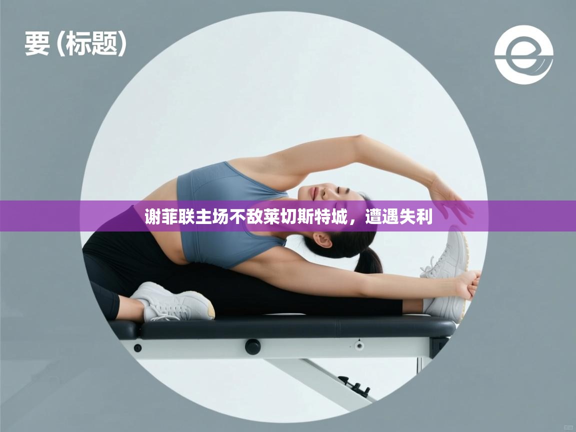 谢菲联主场不敌莱切斯特城,遭遇失利 第2张
