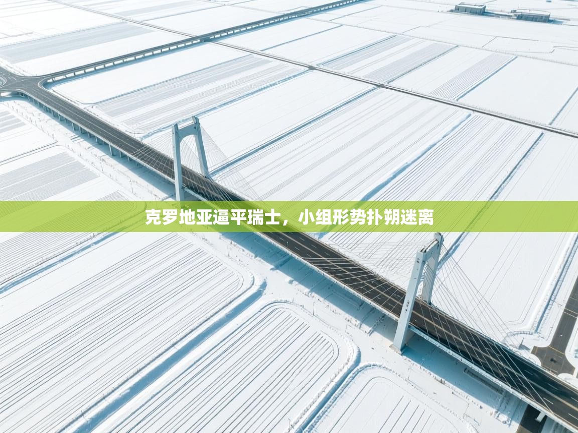 克罗地亚逼平瑞士，小组形势扑朔迷离  第2张