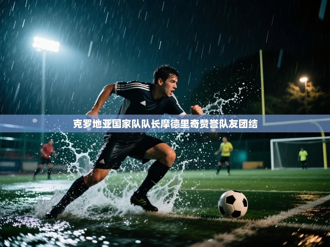 克罗地亚国家队队长摩德里奇赞誉队友团结  第1张