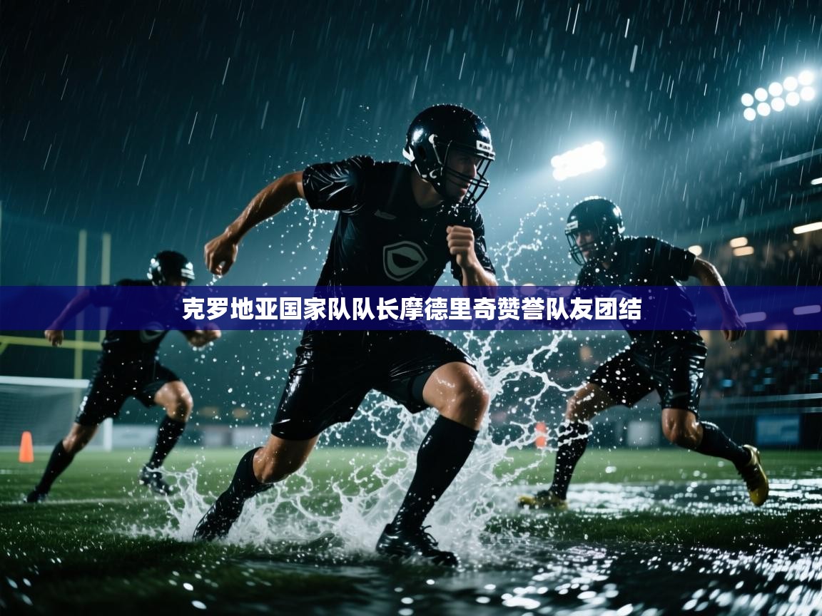 克罗地亚国家队队长摩德里奇赞誉队友团结  第2张