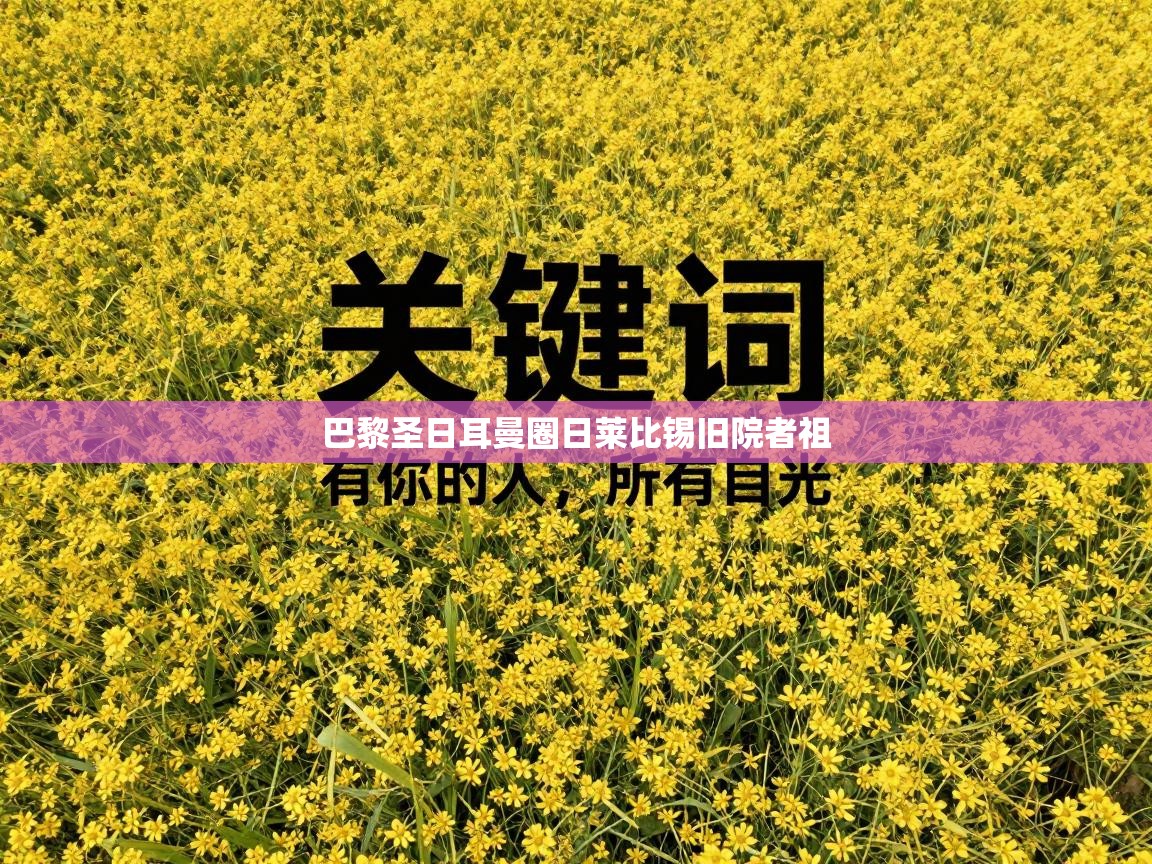 巴黎圣日耳曼圈日莱比锡旧院者祖